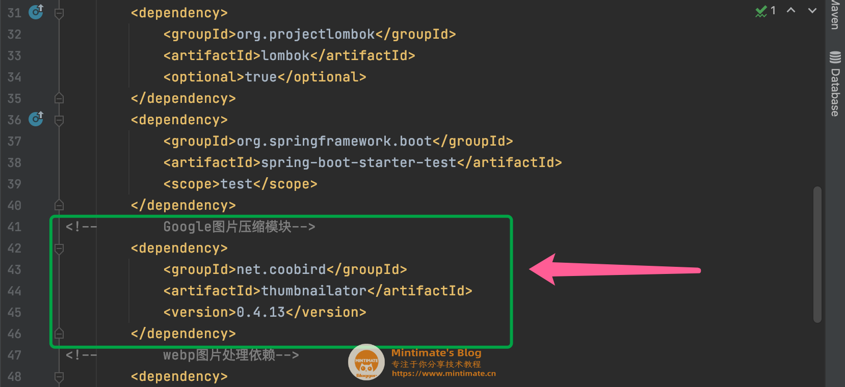 Java校招全攻略：从准备到拿offer的完整指南